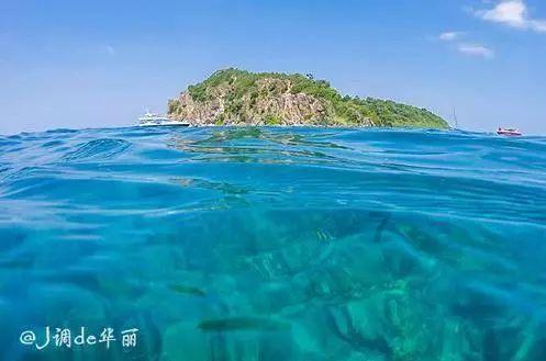 薄樱鬼：风之章